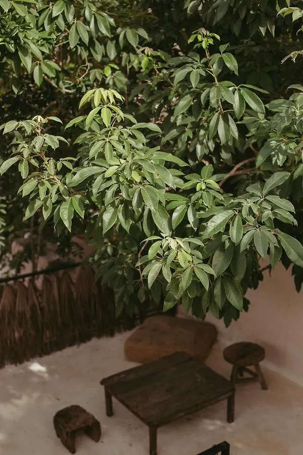 Era Hotel & Spa Tulum